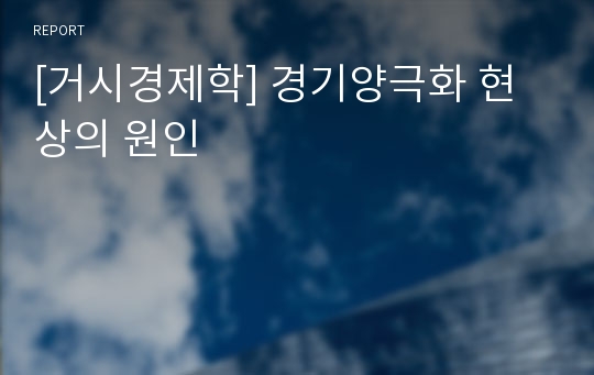 [거시경제학] 경기양극화 현상의 원인