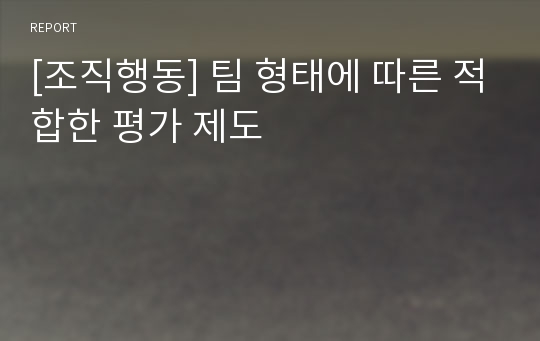 [조직행동] 팀 형태에 따른 적합한 평가 제도