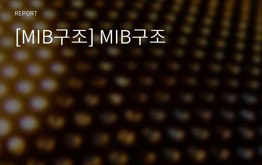 [MIB구조] MIB구조