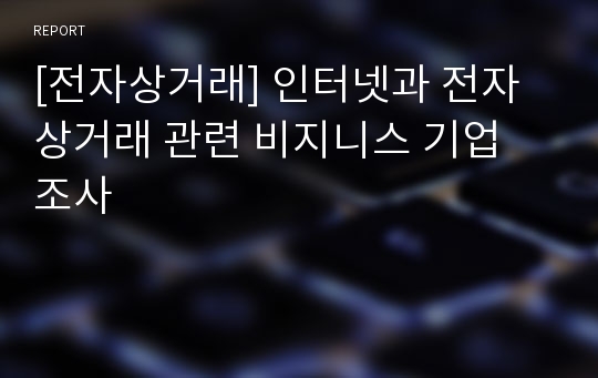 [전자상거래] 인터넷과 전자상거래 관련 비지니스 기업 조사