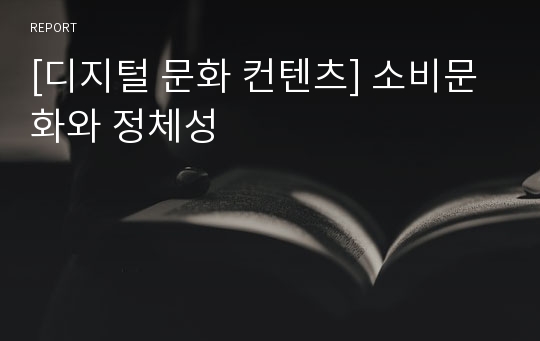 [디지털 문화 컨텐츠] 소비문화와 정체성