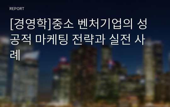 [경영학]중소 벤처기업의 성공적 마케팅 전략과 실전 사례