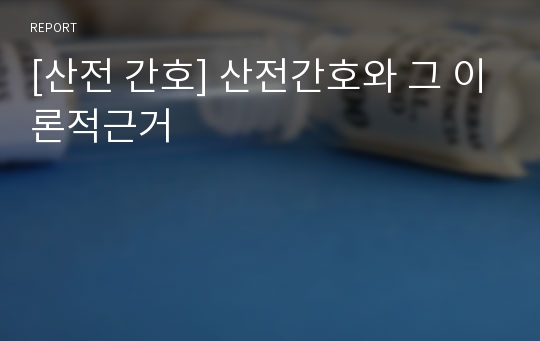 [산전 간호] 산전간호와 그 이론적근거