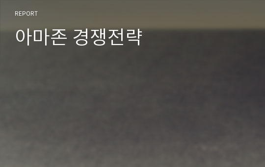 아마존 경쟁전략