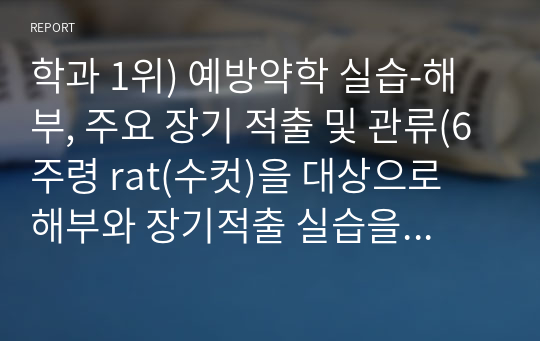 학과 1위) 예방약학 실습-해부, 주요 장기 적출 및 관류(6주령 rat(수컷)을 대상으로 해부와 장기적출 실습을 진행, 각종 주사법에 대한 조사 내용 포함)