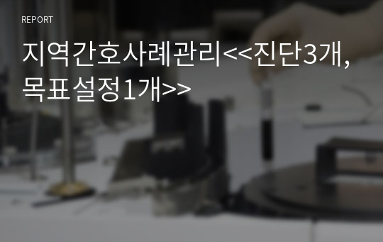 지역간호사례관리&lt;&lt;진단3개,목표설정1개&gt;&gt;