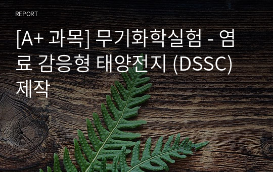 [A+ 과목] 무기화학실험 - 염료 감응형 태양전지 (DSSC) 제작