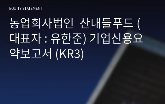 농업회사법인  산내들푸드 기업신용요약보고서 (KR3)