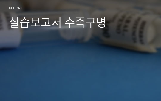 실습보고서 수족구병