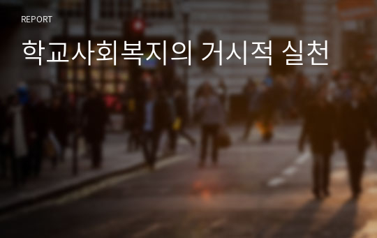 학교사회복지의 거시적 실천