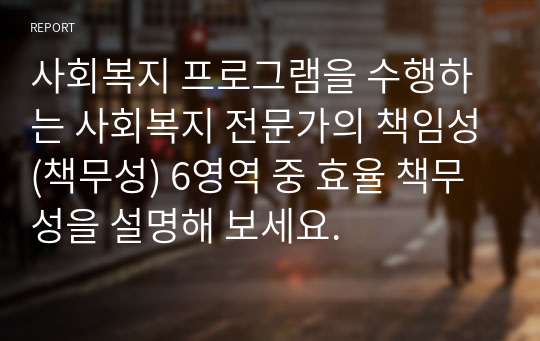 사회복지 프로그램을 수행하는 사회복지 전문가의 책임성(책무성) 6영역 중 효율 책무성을 설명해 보세요.