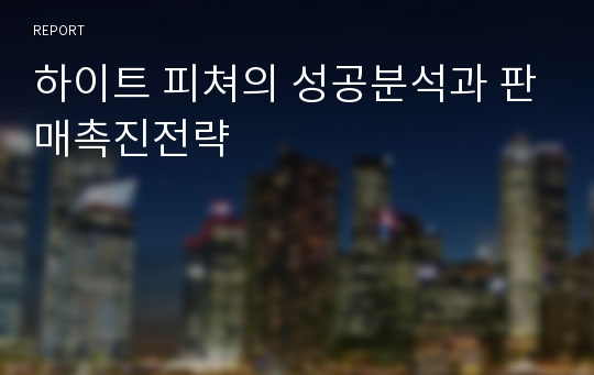 하이트 피쳐의 성공분석과 판매촉진전략