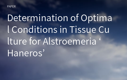 Determination of Optimal Conditions in Tissue Culture for Alstroemeria ‘Haneros’