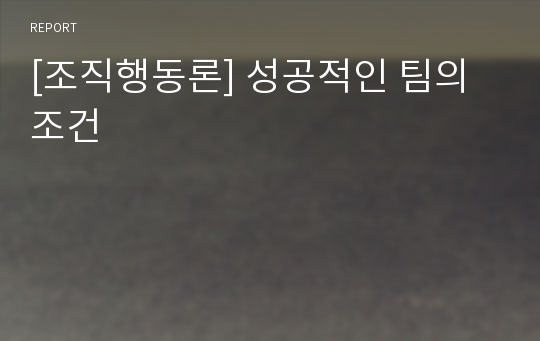 [조직행동론] 성공적인 팀의 조건