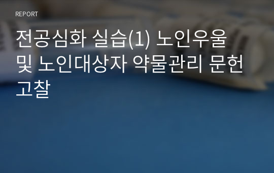 전공심화 실습(1) 노인우울 및 노인대상자 약물관리 문헌고찰