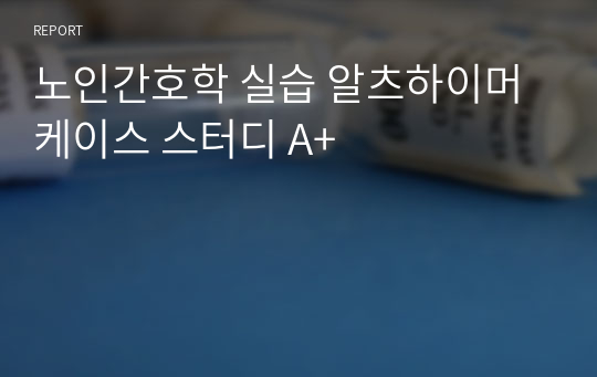 노인간호학 실습 알츠하이머 케이스 스터디 A+