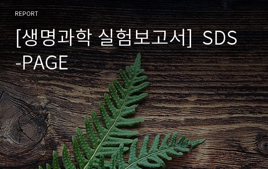 [생명과학 실험보고서]  SDS-PAGE