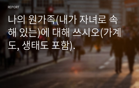 나의 원가족(내가 자녀로 속해 있는)에 대해 쓰시오(가계도, 생태도 포함).