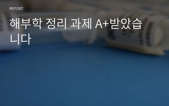 해부학 정리 과제 A+받았습니다