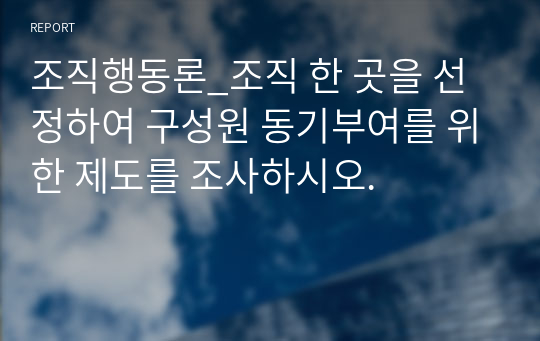 조직행동론_조직 한 곳을 선정하여 구성원 동기부여를 위한 제도를 조사하시오.