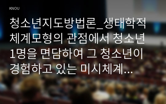 청소년지도방법론_생태학적 체계모형의 관점에서 청소년 1명을 면담하여 그 청소년이 경험하고 있는 미시체계의 구체적인 요인들의 특성을 기술한 후 이 요인들이 청소년에게 미치는 영향을 분석하여 설명하시오. (1)