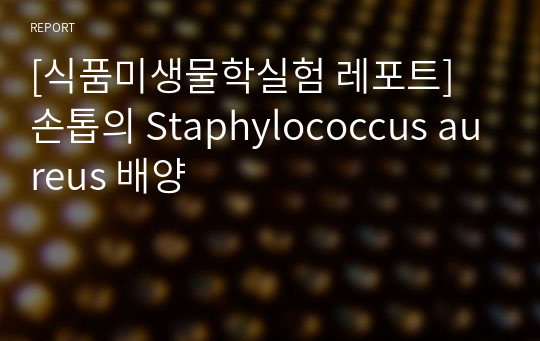 [식품미생물학실험 레포트] 손톱의 Staphylococcus aureus 배양