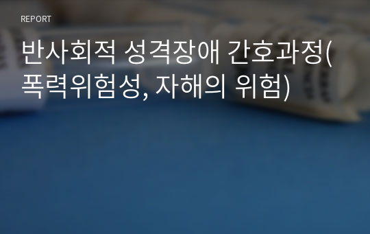 반사회적 성격장애 간호과정(폭력위험성, 자해의 위험)