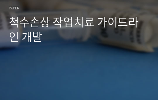 척수손상 작업치료 가이드라인 개발