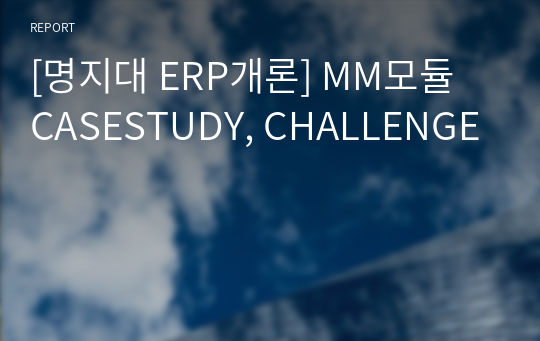 [명지대 ERP개론] MM모듈 CASESTUDY, CHALLENGE