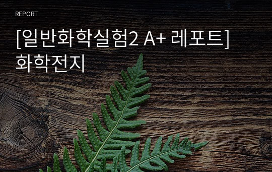 [서강대 일반화학실험2 A+ 레포트] 화학전지