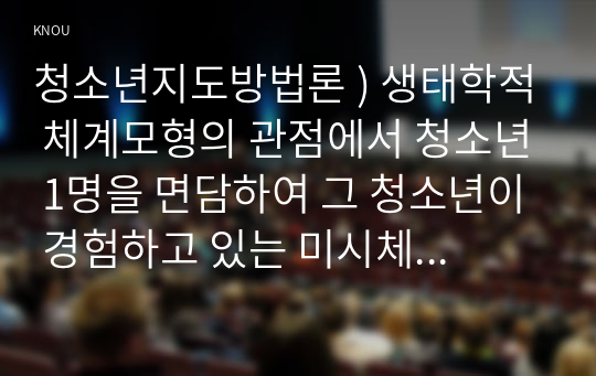 청소년지도방법론 ) 생태학적 체계모형의 관점에서 청소년 1명을 면담하여 그 청소년이 경험하고 있는 미시체계의 구체적인 요인들의 특성을 기술한 후 이 요인들 청소년에게 미치는 영향 분석