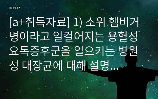 [a+취득자료] 1) 소위 햄버거병이라고 일컬어지는 용혈성 요독증후군을 일으키는 병원성 대장균에 대해 설명하시오.  2) 이렇게 단체급식 및 외식산업에서 발생하는 병원성 대장균에 의한 식중독 사고를 에방힉 위한  CCP를 설정하시오.