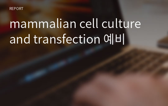 mammalian cell culture and transfection 예비