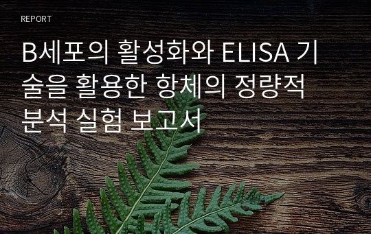 B세포의 활성화와 ELISA 기술을 활용한 항체의 정량적 분석 실험 보고서