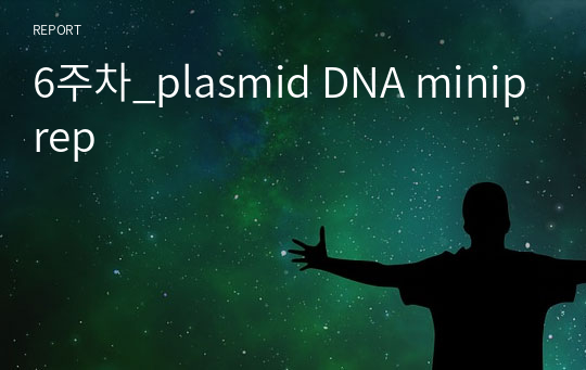 6주차_plasmid DNA miniprep