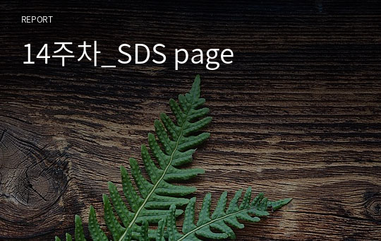 14주차_SDS page