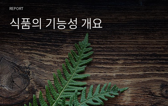 식품의 기능성 개요