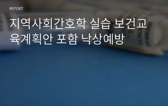 지역사회간호학 실습 보건교육계획안 포함 낙상예방