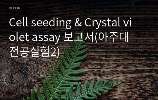 Cell seeding &amp; Crystal violet assay 보고서(아주대 전공실험2)