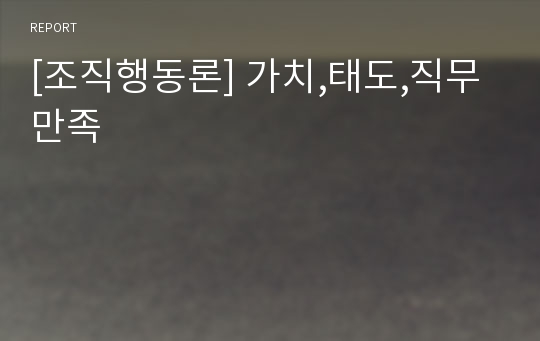 [조직행동론] 가치,태도,직무만족