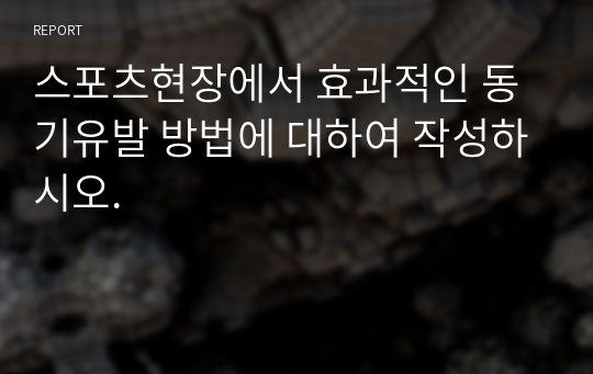 스포츠현장에서 효과적인 동기유발 방법에 대하여 작성하시오.