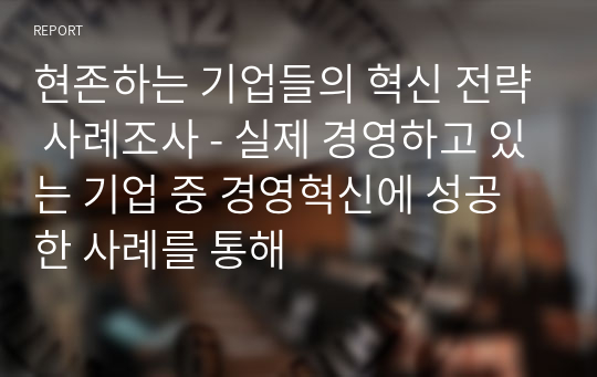 현존하는 기업들의 혁신 전략 사례조사 - 실제 경영하고 있는 기업 중 경영혁신에 성공한 사례를 통해