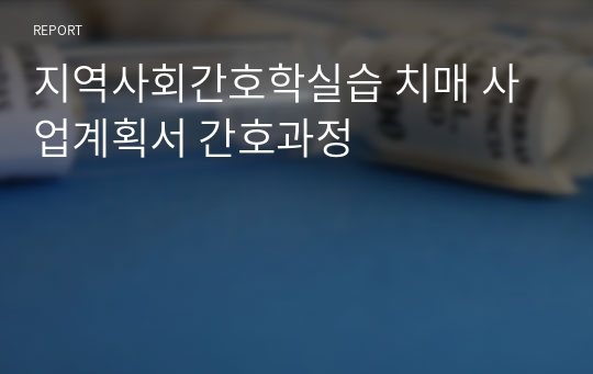 지역사회간호학실습 치매 사업계획서 간호과정