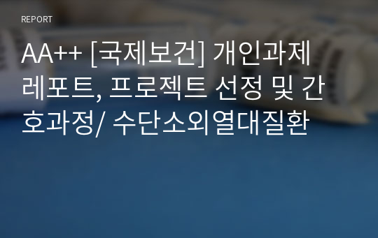 AA++ [국제보건] 개인과제 레포트, 프로젝트 선정 및 간호과정/ 수단소외열대질환