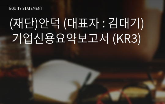 (재단)안덕 기업신용요약보고서 (KR3)