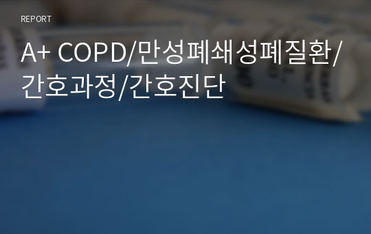 A+ COPD/간호과정/간호진단