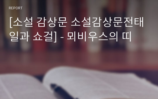 [소설 감상문 소설감상문전태일과 쇼걸] - 뫼비우스의 띠