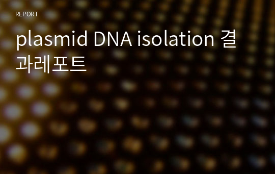 plasmid DNA isolation 결과레포트