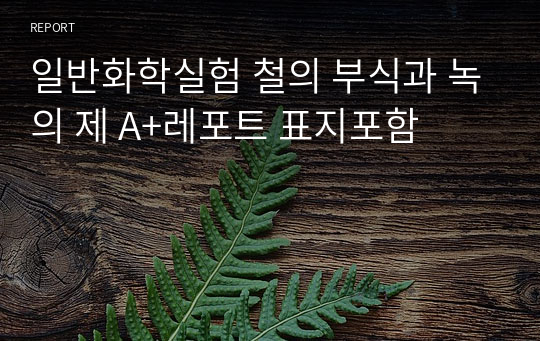 일반화학실험 철의 부식과 녹의 제 A+레포트 표지포함