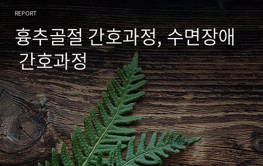 흉추골절 간호과정, 수면장애 간호과정